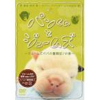 [DVD]/ хлеб kun .je-mz/ хлеб kun .je-mz~je-mz папа. .. регистрация!. шт ~