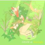 【送料無料】[CD]/ADAM at/Daylight
