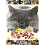 [ бесплатная доставка ][DVD]/ варьете /......~.... смех .. кошка кошка анимация ho nto. такой ....... делать ~