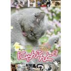 [DVD]/ варьете /......2 ~ кошка удивляться omo белый .. анимация ho nto. такой ....... делать ~