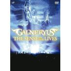 【送料無料】[DVD]/GALNERYUS/THE SENSE OF OUR LIVES