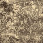 【送料無料】[CD]/Celer/How could you believe me when I said I loved you when you know I've been a liar all my life