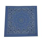 0368 ペイズリーシャンブレーブルー USA アメリカバンダナ 送料無料 あすつく ネコポス 54cm角