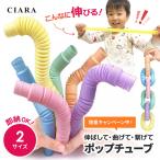 売れてます！ ポップチューブ 安い 6本 10本 セット ミニ m l 小 中 おもちゃ ストレス レインボーポップ つなげて遊ぶ 知育玩具 子供 プレゼント ギフト tdm