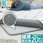下敷きラグ 170×230cm ラグマット 厚手 ふかふか ホットカーペット対応 滑り止め アルミシート入り 保温
