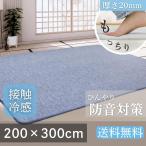ラグ 夏 低反発 ひんやり 冷感 接触冷感 200×300 低反発 20mm 極厚 ふかふか ウレタン カーペット ラグマット 夏用 ひんやりマット おしゃれ