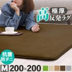 ラグ カーペット 厚手 高反発ラグ 極厚 25mm 200×200 ラグマット オールシーズン 秋 冬 防音 絨毯 おしゃれ