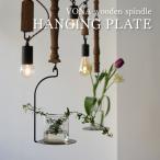 VONA HANGING PLATE ハンギングプレート プラントハンガー アイアン 吊り鉢 吊り下げ 観葉植物 ハンギングプランター ポットハンガー おしゃれ フラワーベース
