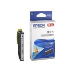 ץ EP-10VA 󥯥ȥåʥ졼 YTH-GY