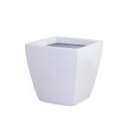 ���¥ץ饹���å� �ե����С����饹���꡼�� �����Х�ݥå� AS�� �ۥ磻�� AS-35�� �����ʤ���