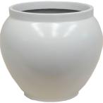 ���¥ץ饹���å� �ե����С����饹���꡼�� �ե��ݥå� T-46 �ۥ磻�� �����ʤ���