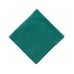 ケンコー・トキナー クリーニング用品 LUCINAGE カメラレンズクロス 27×27cm エメラルド 日本製 KCA-LGEM KEN890974