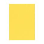 �̱ۥ����ݥ졼����� �����ο���� A3 T�� Ķ���� ǻ���꡼�� 1��(100��)