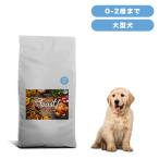 ショッピング犬 INUMESHI　フィースト　子犬用　大型犬用　15kg　ブリーダーパック