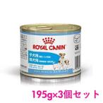 ロイヤルカナン　スタータームース　マザー＆ベビードッグ　195g×3缶セット