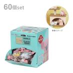 イワコー　おもしろ消しゴム　パステルキャット消しゴム　1BOX　60個入り　ER-CAT001