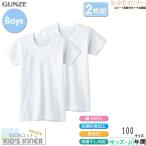 グンゼ 子供肌着 男児半袖丸首シャツ 100cm 2枚組 やわらか綿100% 年間 BF6550C GUNZE [100サイズ] 紳士