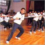 . цитирование трос лен производства φ36×50m