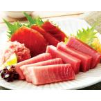 三浦 三崎 まぐろ 三昧セット ＜冷凍＞ マグロ 鮪