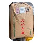 令和7年産　宮城県産　つや姫　玄米　30kg　普通栽培米　一等米