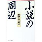 小説の周辺／藤沢周平