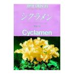シクラメン／浜田豊