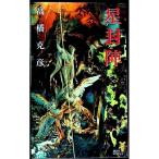 星封陣／高橋克彦