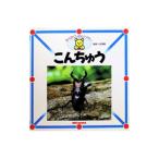 こんちゅう／小田英智【監修】
