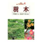 樹木／片桐啓子