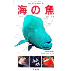 海の魚／田口哲