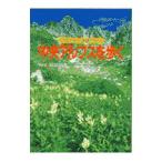 中央アルプスを歩く／津野祐次