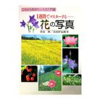 １週間でマスターする花の写真／木村伊知朗
