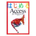  впервые .Access for Windows95|.. волна 