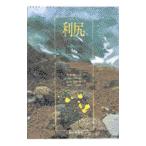 利尻／杣田美野里