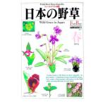 日本の野草 春／矢野亮