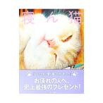 寝ん猫／板東寛司