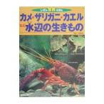 カメ・ザリガニ・カエルなど水辺の生きもの／松橋利光