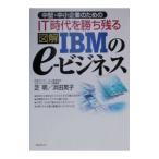  иллюстрация IBM. e- бизнес |. рисовое поле Британия .