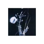 Yahoo! Yahoo!ショッピング(ヤフー ショッピング)ＩＮＯＲＡＮ／想