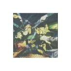 Yahoo! Yahoo!ショッピング(ヤフー ショッピング)ＳＯＵＬ ＳＣＲＥＡＭ／ＴＨＥ ＰＯＳＩＴＩＶＥ ＥＮＥＲＧＹ