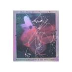 Ｂｒｉａｎ Ｅｎｏ ｗｉｔｈ Ｐｅｔｅｒ Ｓｃｈｗａｌｍ／ｍｕｓｉｃ ｆｏｒ「陰陽師」