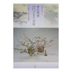  источник . история цветок. . 10 4 .| название зеркало ..