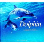 Ｄｏｌｐｈｉｎ／越智隆治