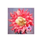 Yahoo! Yahoo!ショッピング(ヤフー ショッピング)ＢＯＮＮＩＥ ＰＩＮＫ／ｒｅ＊ＰＩＮＫ