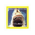 DVD／ナショナル・ジオグラフィック−ホホジロザメに魅せられた男−