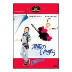 DVD/潮風のいたずら