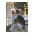 ki...,.. кошка .....| скала . свет .