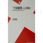 「平和構築」とは何か／山田満