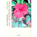 .. похоже .. цветок ... no. 3 сборник | Okinawa префектура . работа . работа участник. .