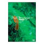 DVD／ｌｉｖｅ ｉｍａｇｅ ＋ − ０１０５３１